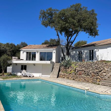 Bed and Breakfast Les Terrasses Des Gardies Pignan Экстерьер фото