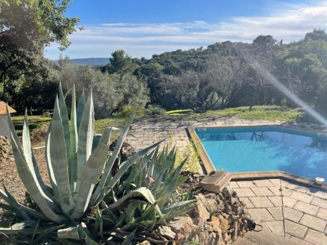 Bed and Breakfast Les Terrasses Des Gardies Pignan Экстерьер фото