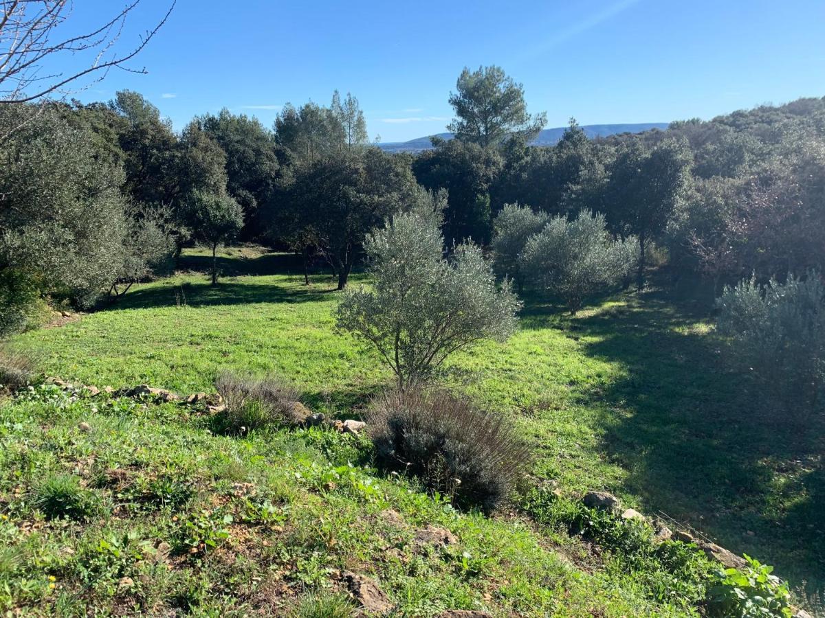 Bed and Breakfast Les Terrasses Des Gardies Pignan Экстерьер фото
